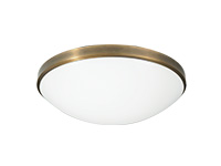 LED Ceiling Lights
