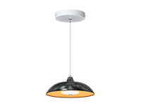 LED Pendant Lights