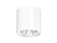 LED Down Lights