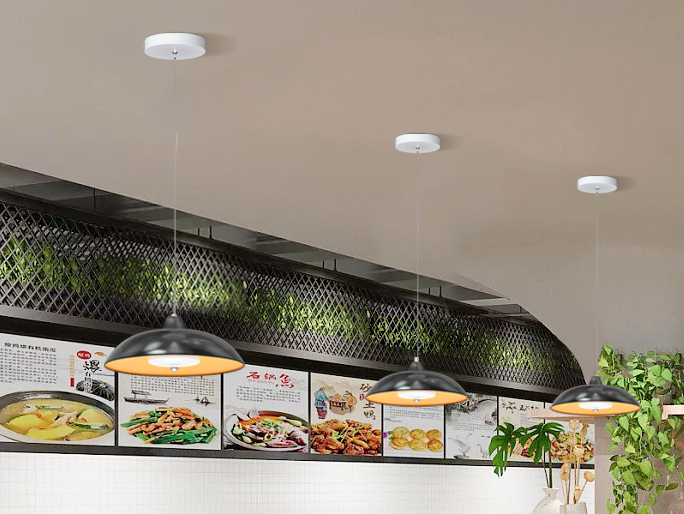 LED Pendant Lights