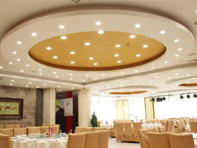 LED Down Lights