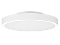 LED Pendant Lights