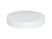 LED Ceiling Lights
