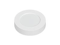 LED Ceiling Lights