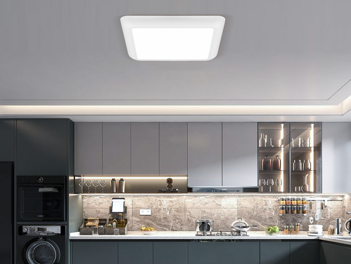 LED Ceiling Lights