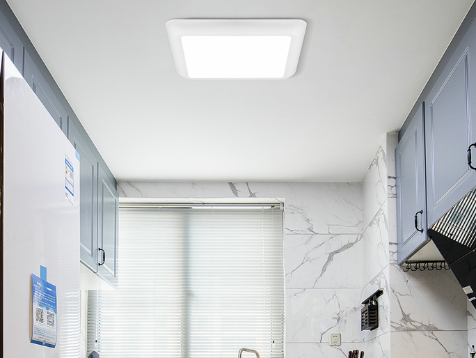 LED Ceiling Lights