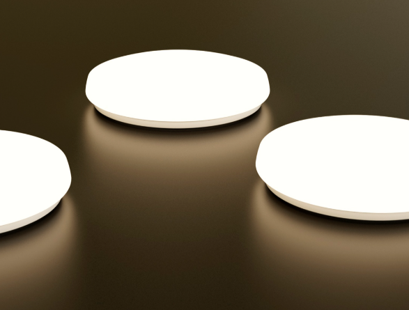 Floria Ceiling Lights.png