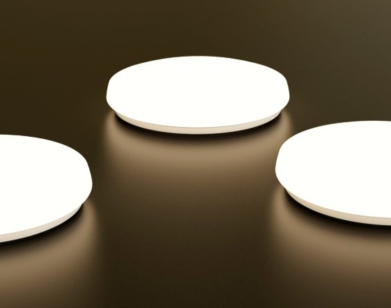 Floria Ceiling Lights.png